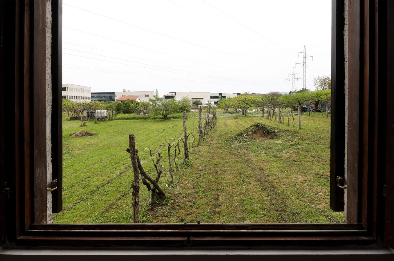 Appartamento Veline Capodistria Esterno foto